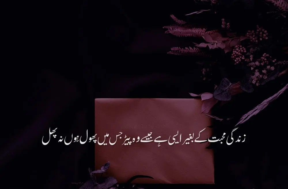 BEST 100 LIFE QUOTES IN URDU